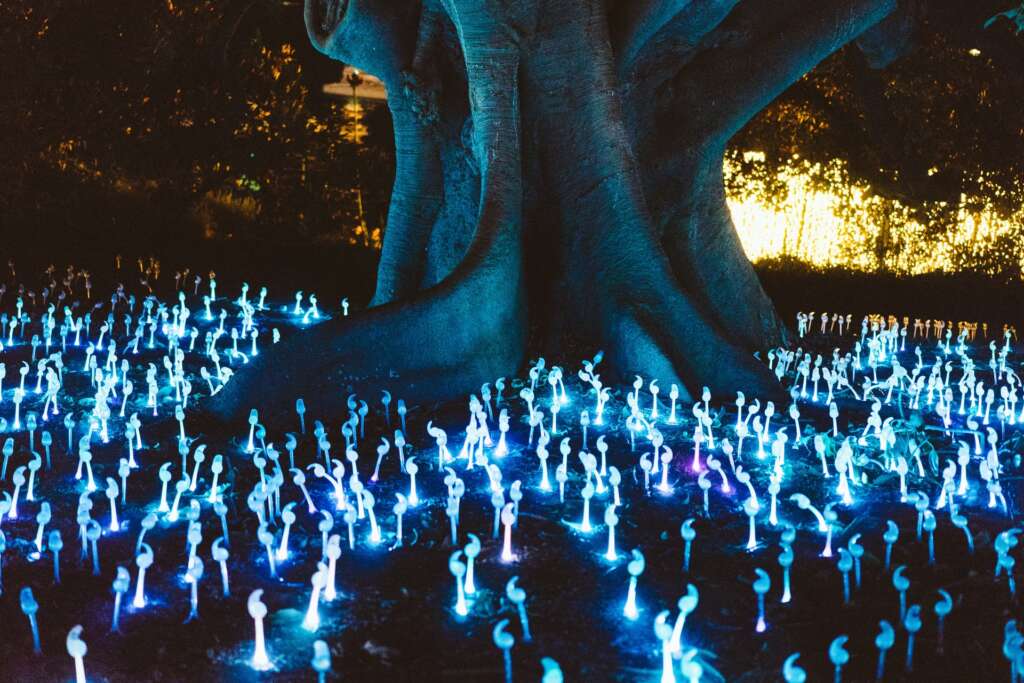 Glowing mushroom lights under a tree