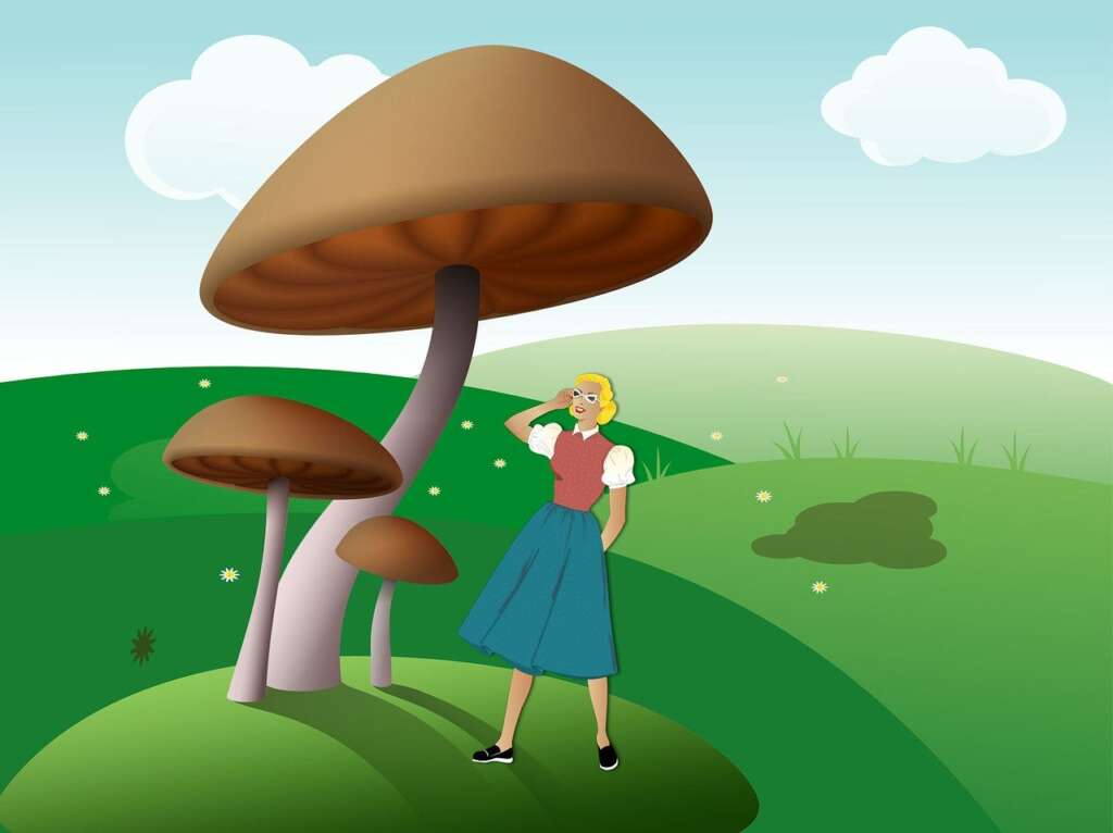 Illustration of woman under giant mushrooms in a field